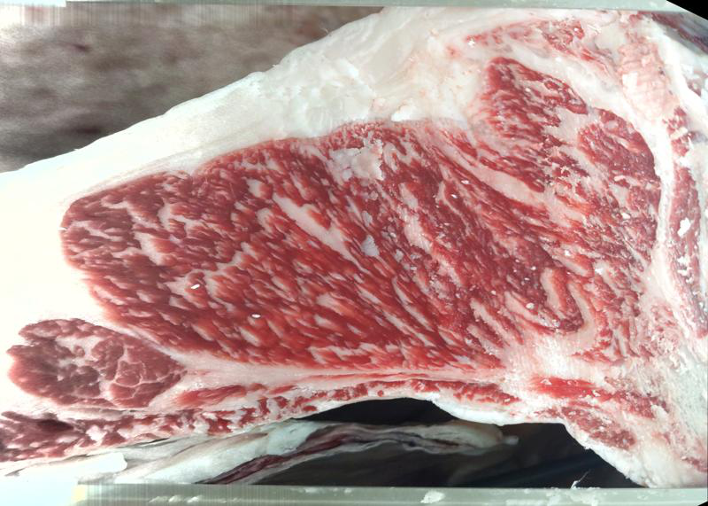 Lot 0513 ribeye cross-section