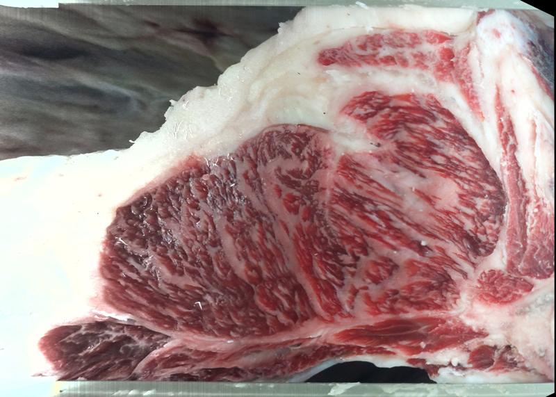 Lot 0955 ribeye cross-section